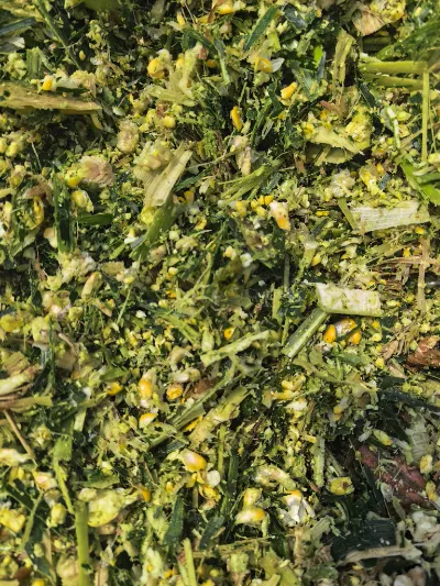 Quels sont les principaux atouts qui font de Yiman Agriculture votre fournisseur idéal pour les projets d’importation en vrac de chou mariné ?