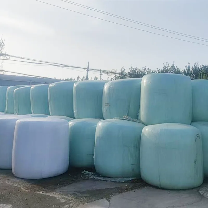 Ensilage de maïs en balles hermétiques