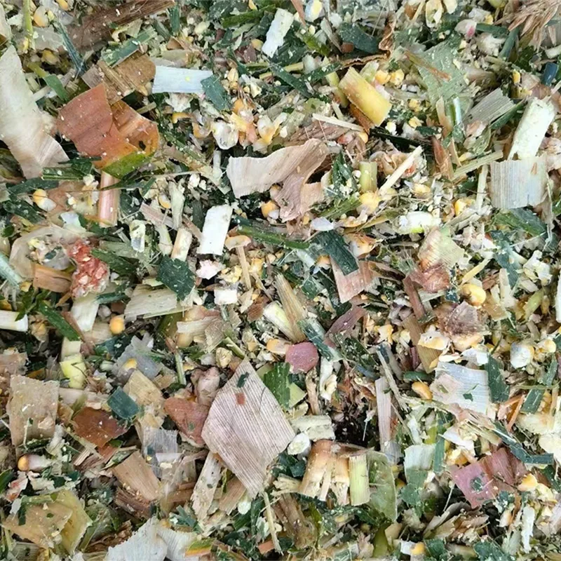 Ensilage de Maïs Fourrage Mixte