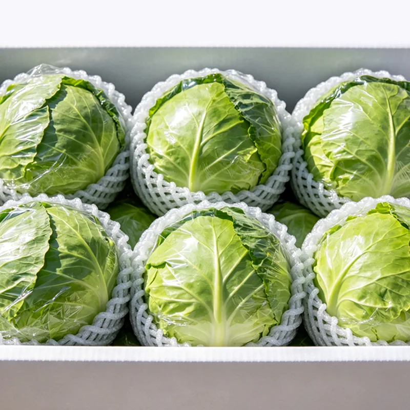 Chou emballé de qualité exportation
