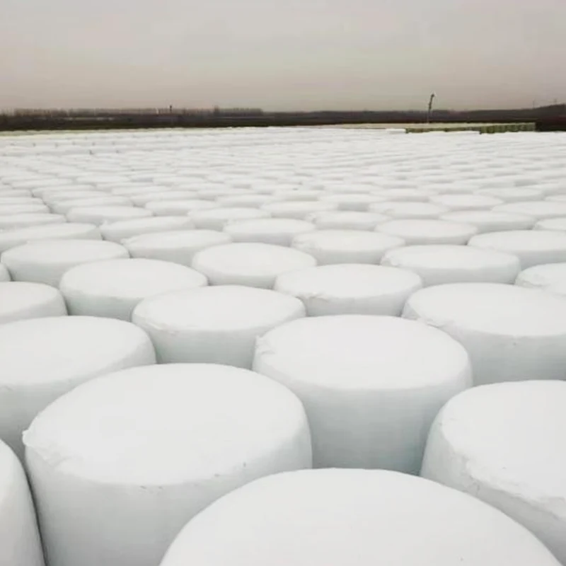 Ensilage de maïs en balles haute densité