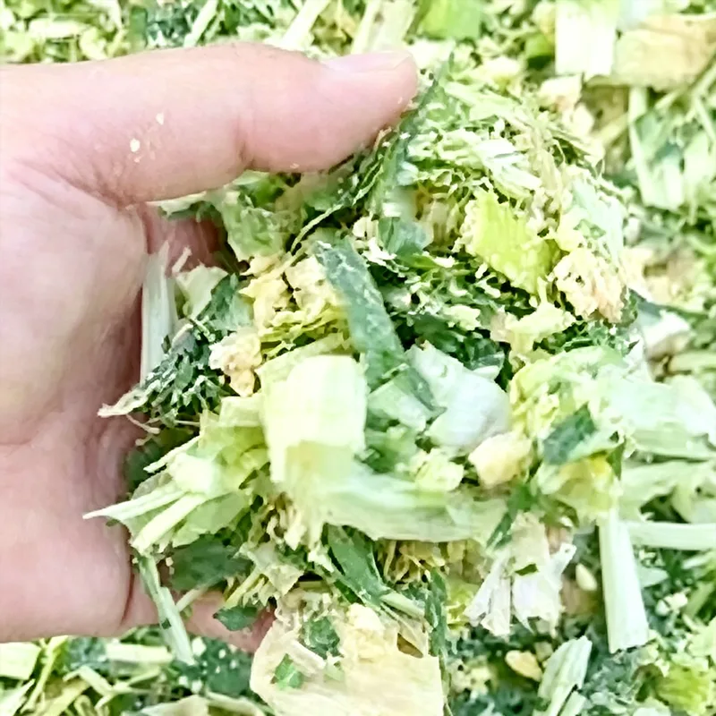 Beef Cattle Fattening Corn Silage