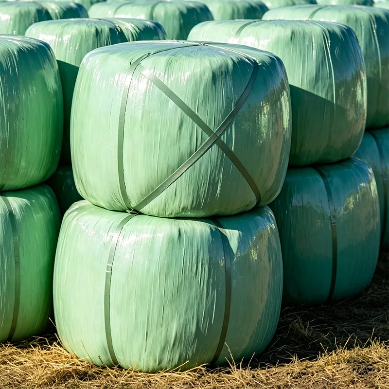 Ensilage de maïs en balles protégé contre les UV