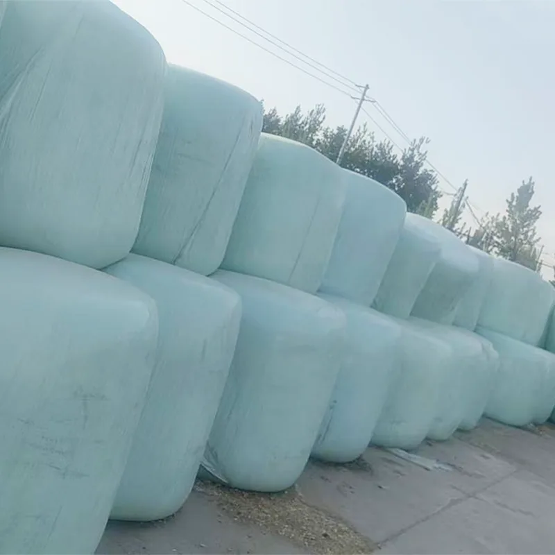Ensilage de maïs d’approvisionnement toute l’année